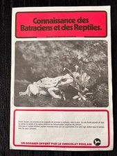 Album Image Poulain -