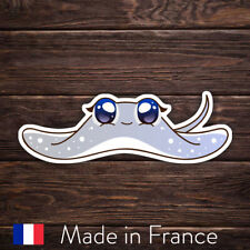 RAIE MANTA NEMO OCEAN AQUARIUM