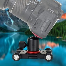 Desktop Professional Skater