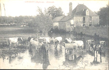 CPA - COURCITE (53)  Abreuvoir