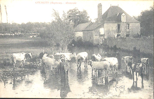 Cpa courcite abreuvoir - -,