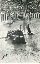 CORRIDA  Luis Miguel  demi estocade  Matador , Toréro