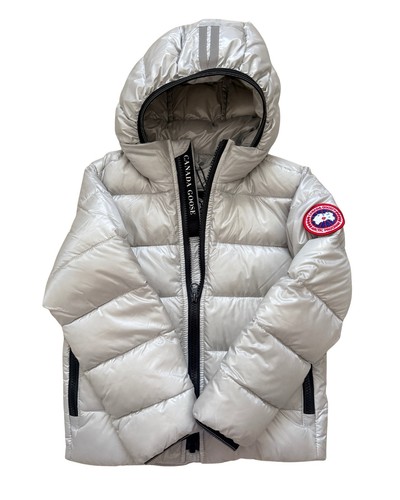 Canada goose kids - goose, silverbirch