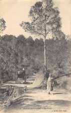 CPA ALGERIE HAMMAM R'HIRA LA FORET