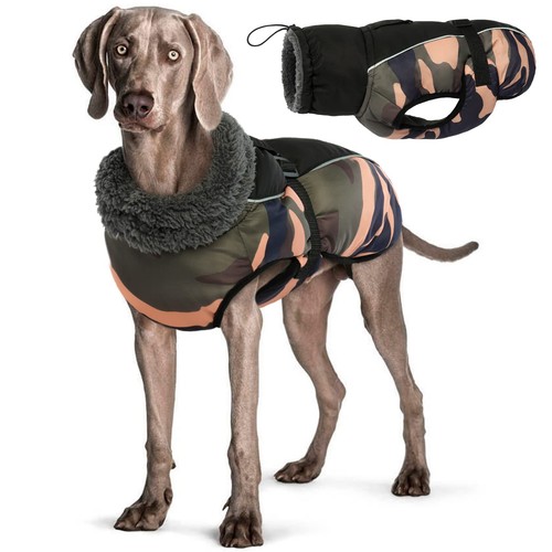 Manteau hiver pour chien - manteau,