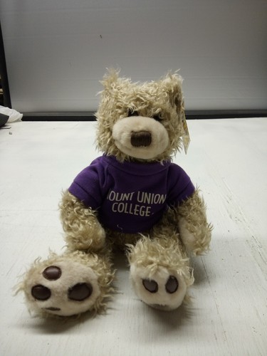 Mount union college - mount, mcm