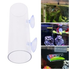 Betta Poissons Tunnel Transparent Creux Betta Poissons Tube Avec Ventouse FR