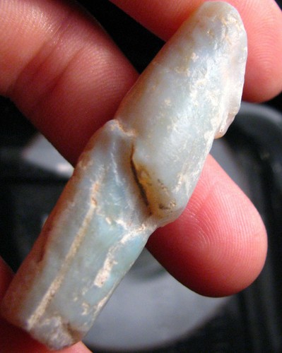 Fossile pipe belemnite - o&co,