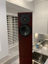 SINGLE Totem Acoustic Arro