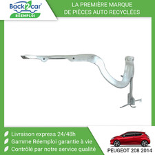 🏆 COMPAS GAUCHE CAPOT