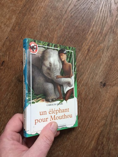 Flammarion castor poche junior - flammarion,