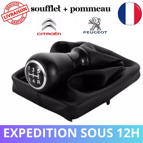 Pommeau levier vitesse - pommeau,