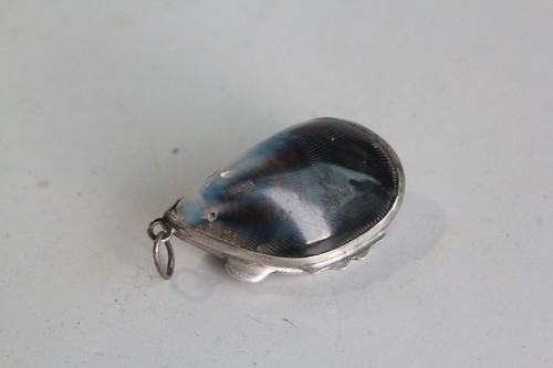 Boîte pilule moule argent - boîte, à