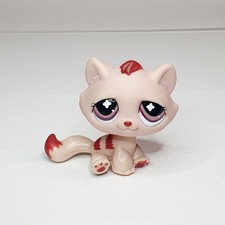 Petshop Chat Gouttière