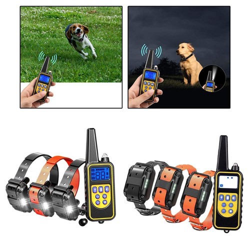 Collier choc pour chien - pour,