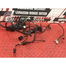 Faisceau électrique