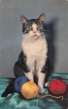 CP BORDS DENTELES CHAT PELOTES DE LAINE - 51771