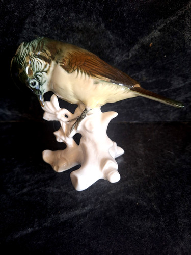 Karl ens oiseau en - oiseau,