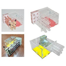 Nid de fourmis, atelier