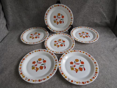 Assiettes plates arcopal - 6,