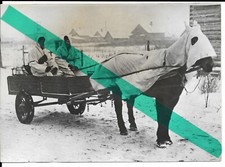 WW2 allemand photo de presse de soldats et cheval camouflage hiver front EST N°6