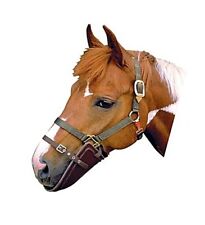 Bavoir Demi Muselière