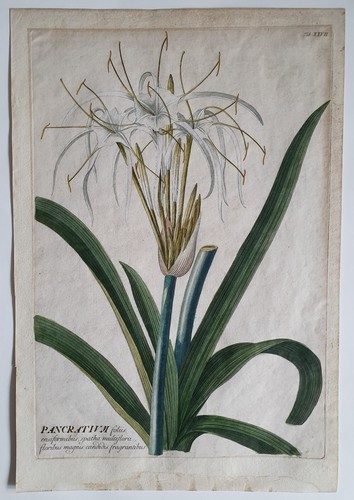 Gravure originale sur - , plaque