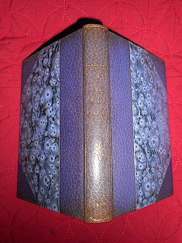 Superbe reliure maroquin - superbe,