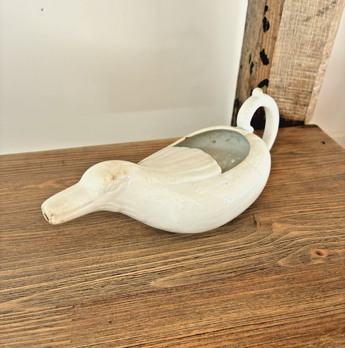 Canard malade ancien en - canard, de