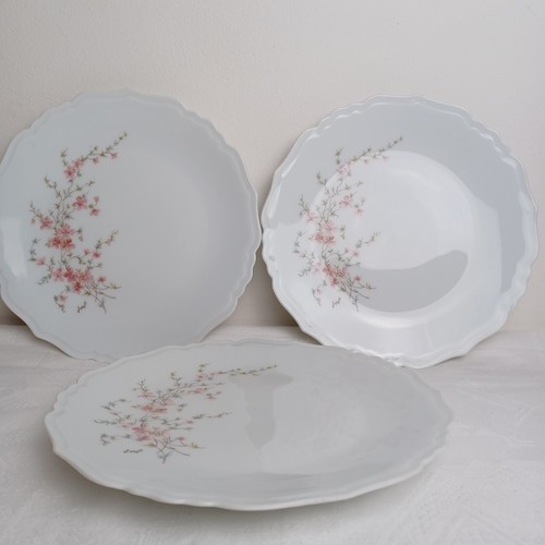 Assiettes porcelaine de - 3,