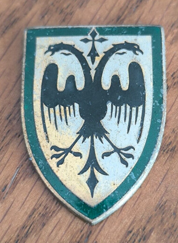 Insigne militaire - insigne, 19°