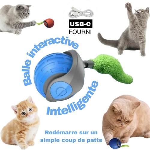 Balle interactive automatique - interactive,