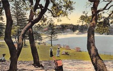 CPA AUSTRALIE / THROUGH THE TREES / COOGEE