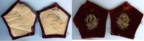 Patte col médecins - patte,