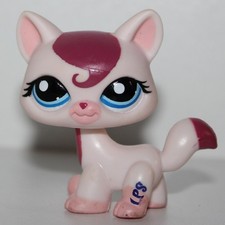 Petshop Chat Main coon # 1679