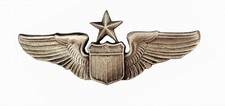 Insigne Brevet Pilote Senior