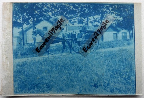 Cyanotype photo cheval - photo, en