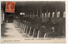 MONTIER EN DER Haute Marne CPA 52 le Haras chevaux à l'intérieur de l'écurie