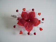 Attache/Remonte Traine/Broche