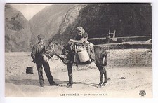 CPA  ANIMAL PYRENEES 64 65 -  COUPLE PORTEUR DE LAIT ANE DONKEY MONTAGNE ~A62