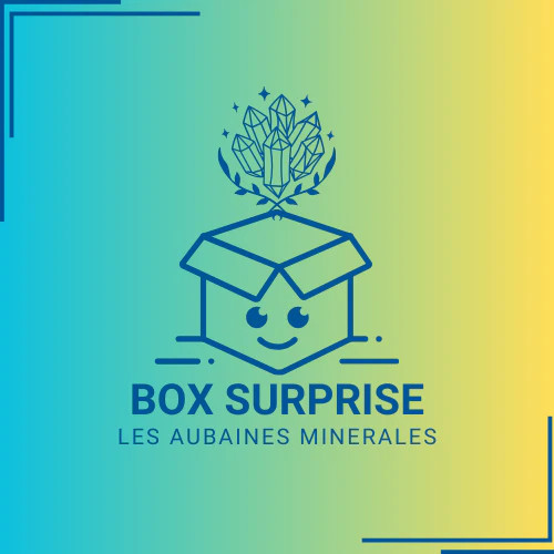 Box surprise les aubaines - box,
