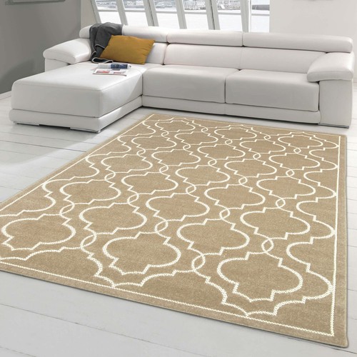 Tapis oriental pour intérieur - tapis,