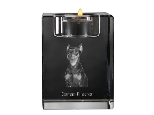 Pinscher allemand bougeoir - allemand,
