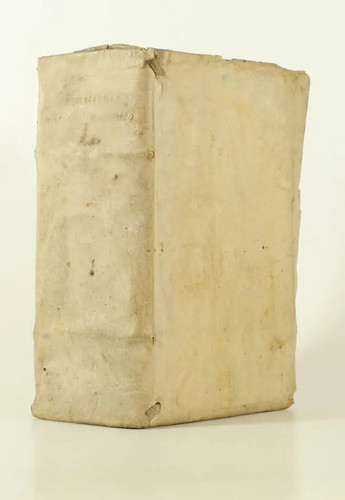 Anatomie laurens - laurens,