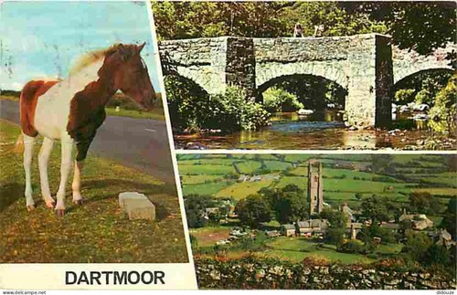 Carte postale animaux - carte,