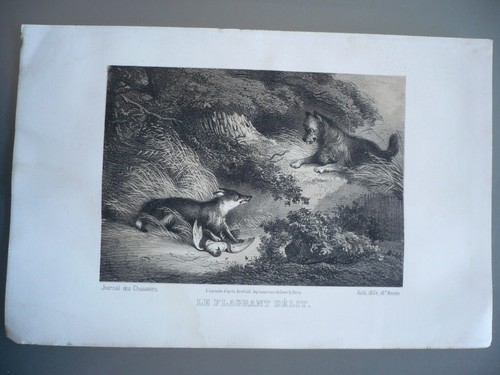 Original hunting engraving - original,