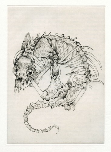 Mohlitz philippe gravure - mohlitz,