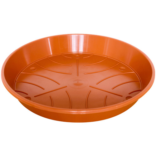 20x sous verres plantes - 20x, sous-verres