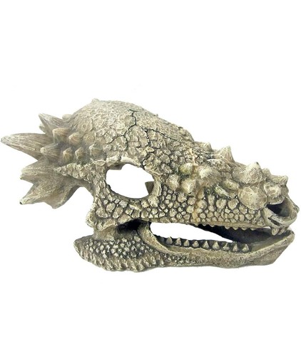 Crâne dragon 3x10x80 cm - crâne, 15,3x10x80