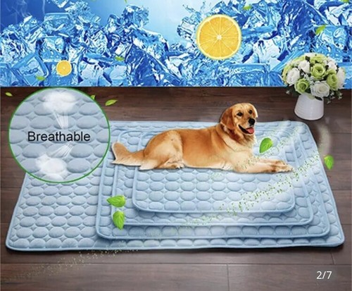 Coussin tapis lit - coussin,